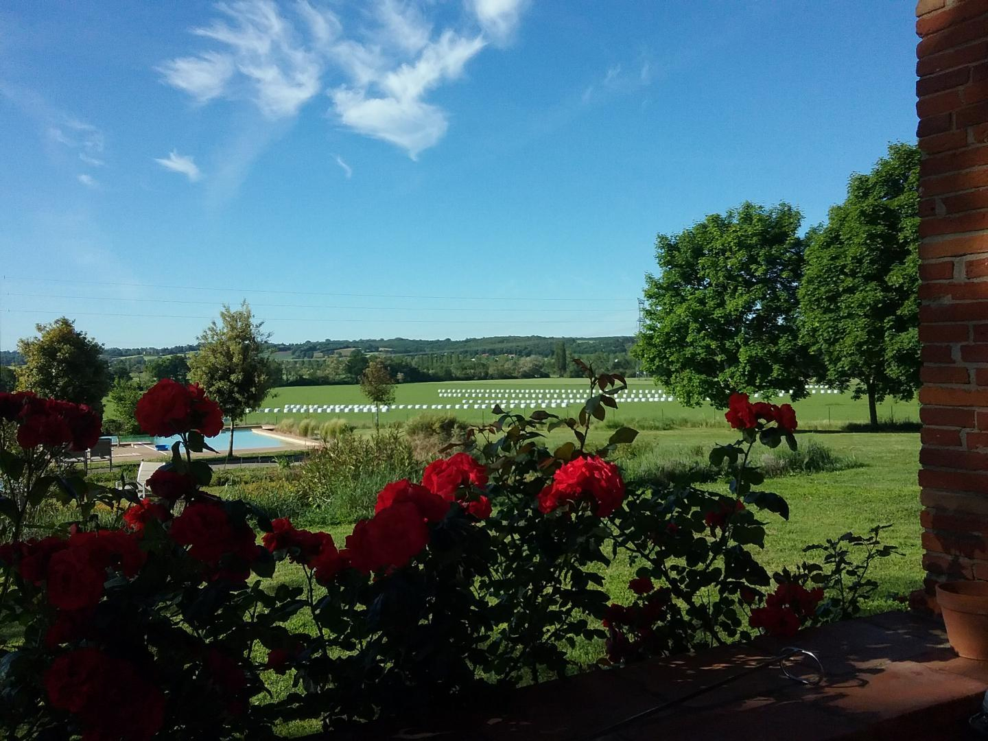 DOMAINE DE LAVERGNE, Gragnague - photo 415