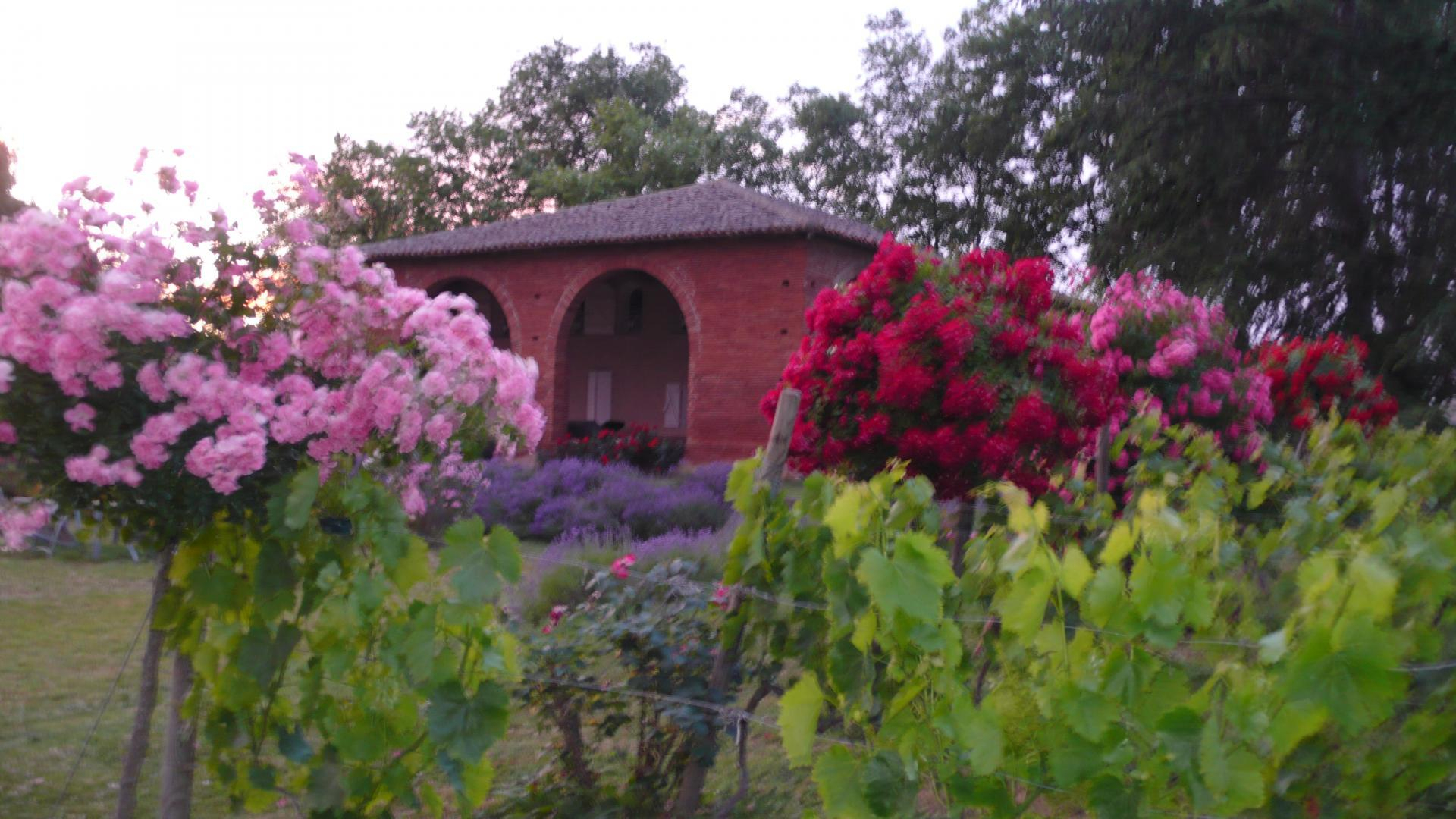 DOMAINE DE LAVERGNE, Gragnague - photo 407