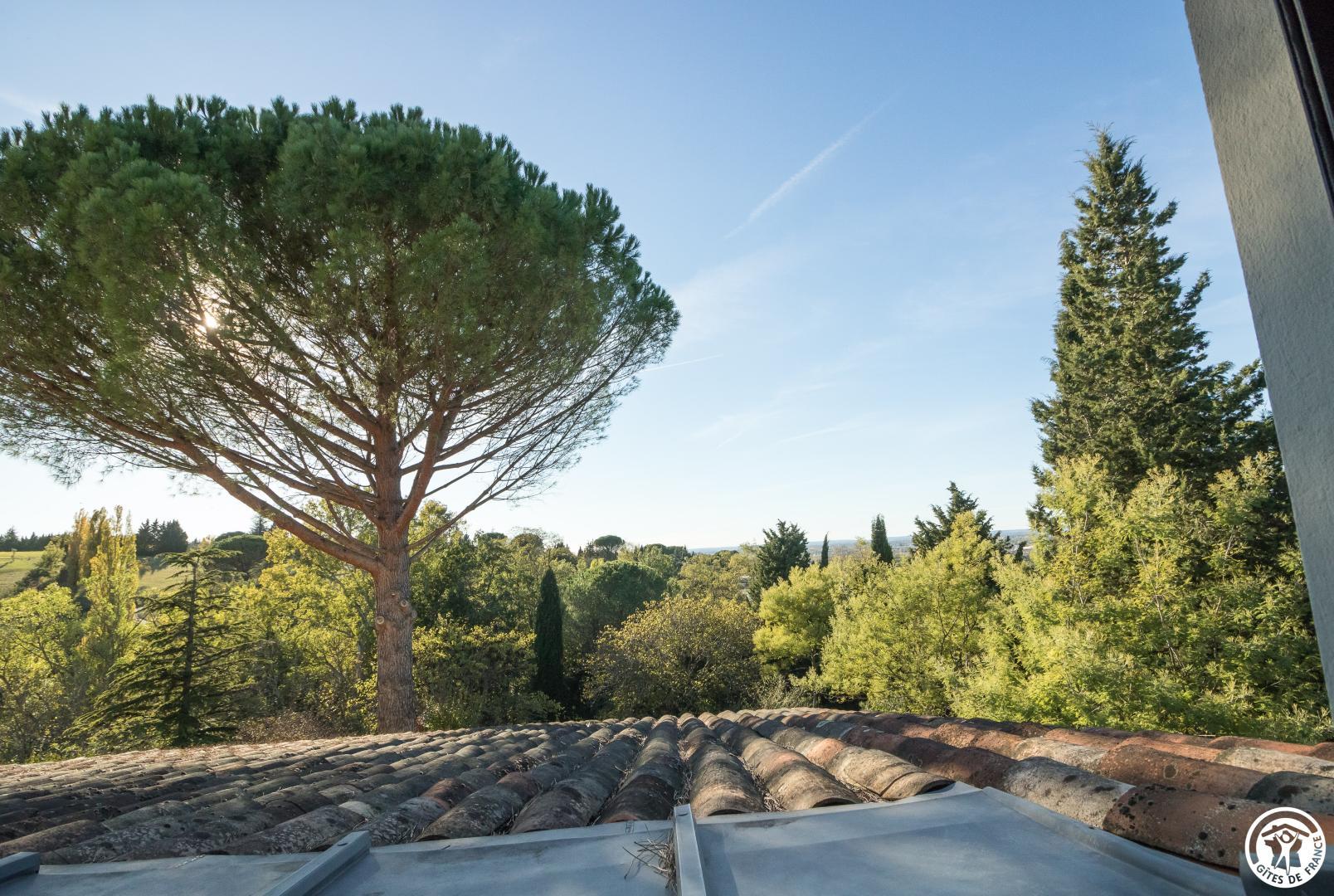 L'INTEMPORELLE, Vieille-Toulouse - photo 125