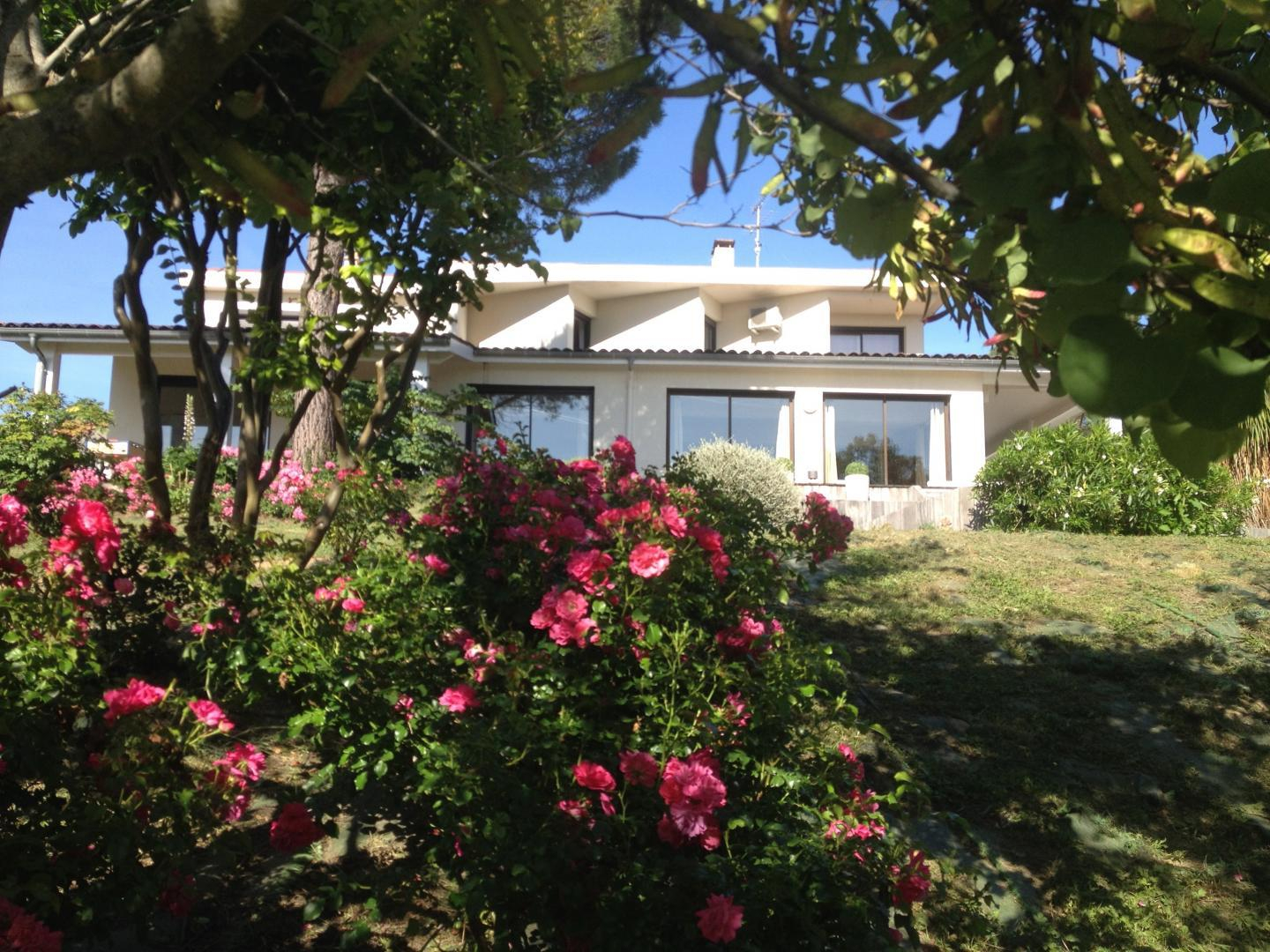 L'INTEMPORELLE, Vieille-Toulouse - photo 123