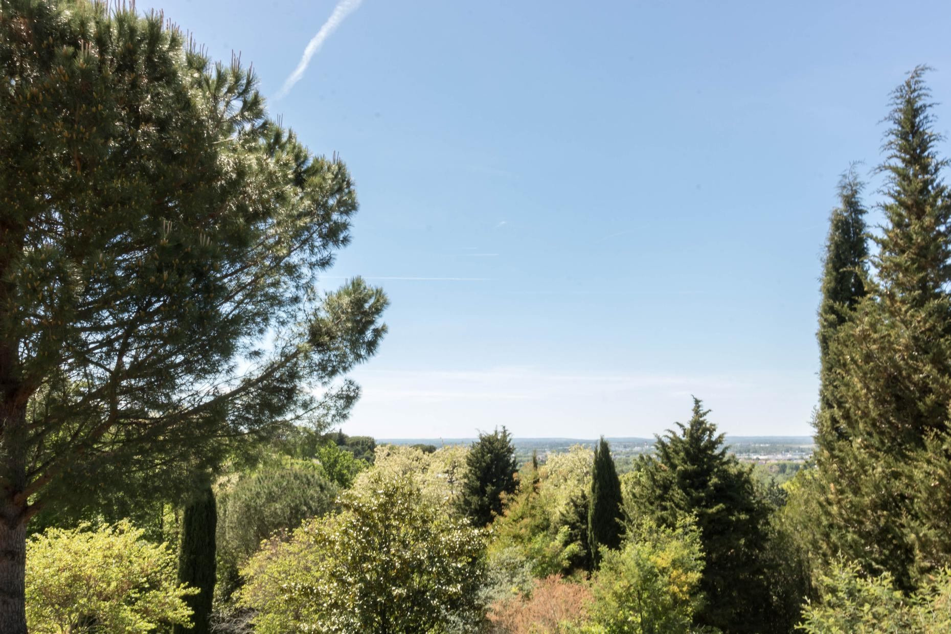 L'INTEMPORELLE, Vieille-Toulouse - photo 130
