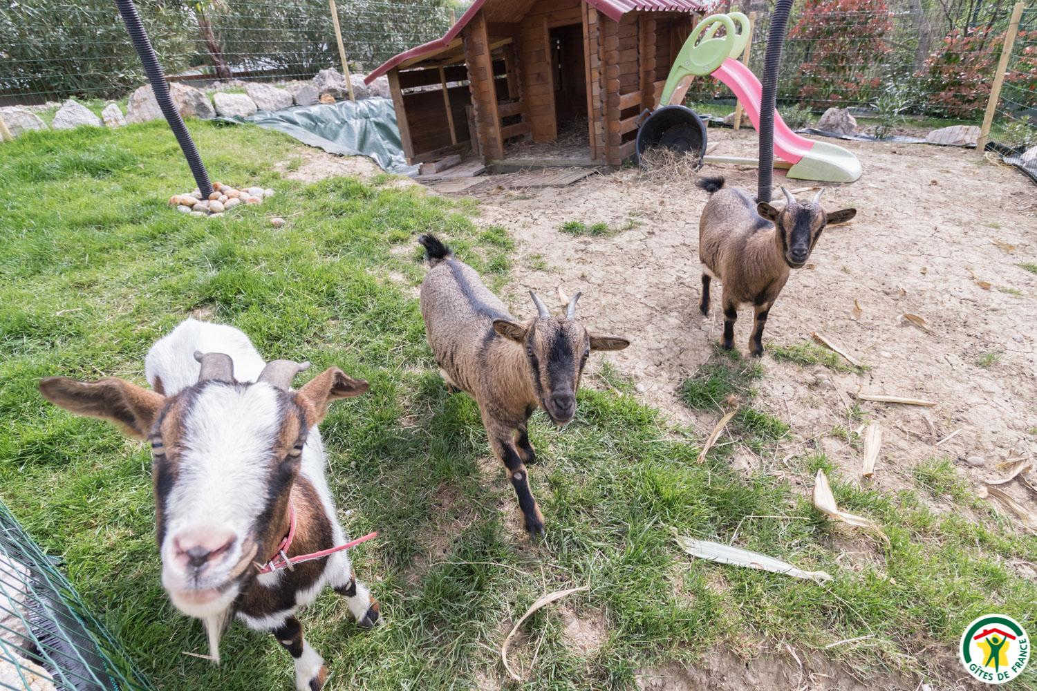 LA MAISON D'HÔTES DU MOULIN - photo 4