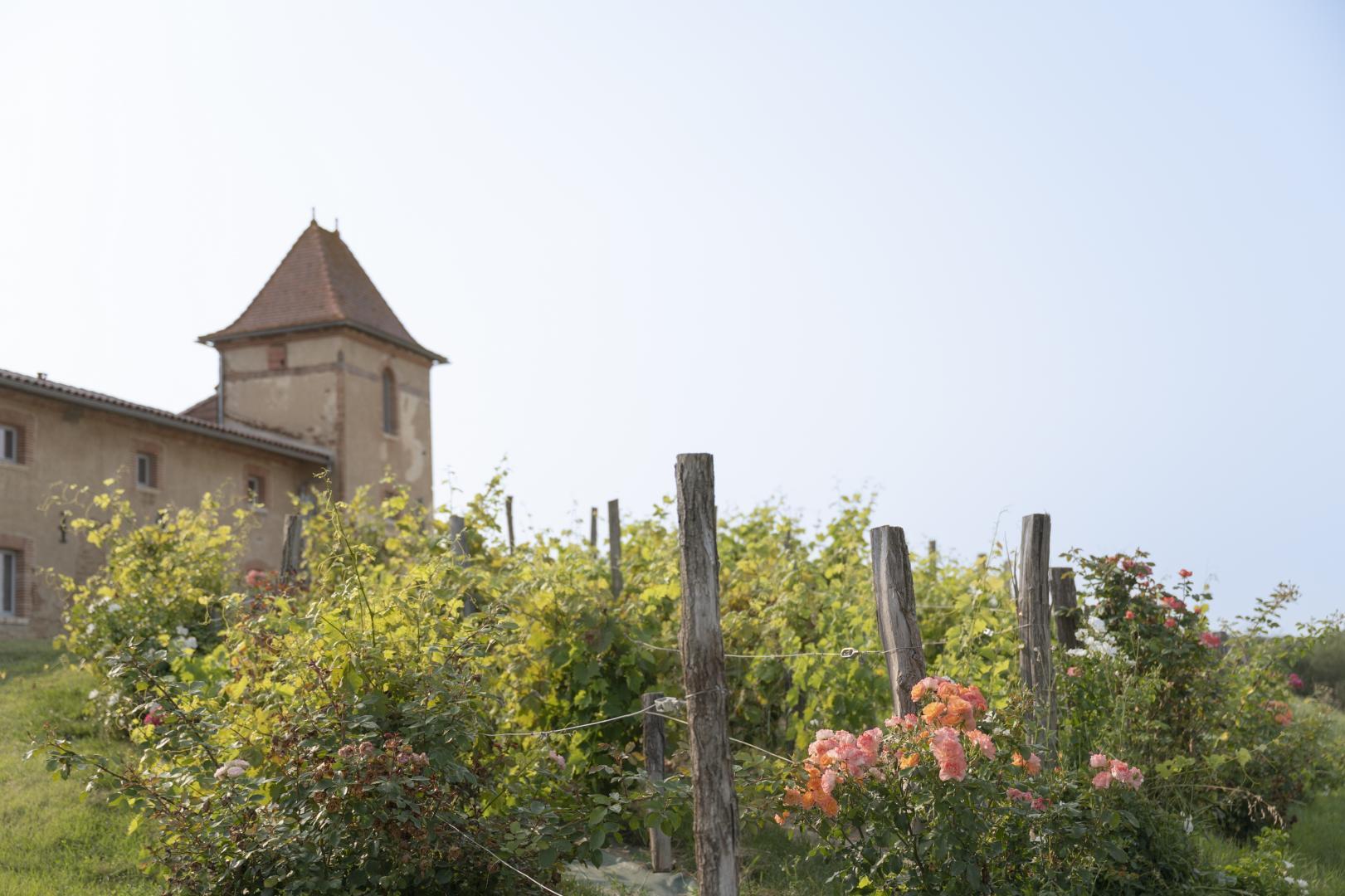ESCONS DOMAINE DE CHARME, Saint-Sulpice-sur-Lèze - photo 199