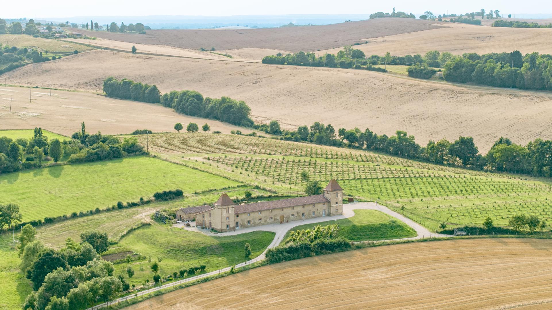 ESCONS DOMAINE DE CHARME, Saint-Sulpice-sur-Lèze - photo 202