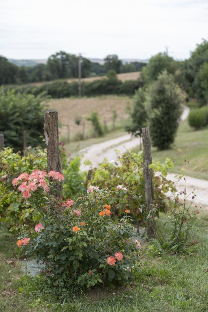 ESCONS DOMAINE DE CHARME, Saint-Sulpice-sur-Lèze - photo 203