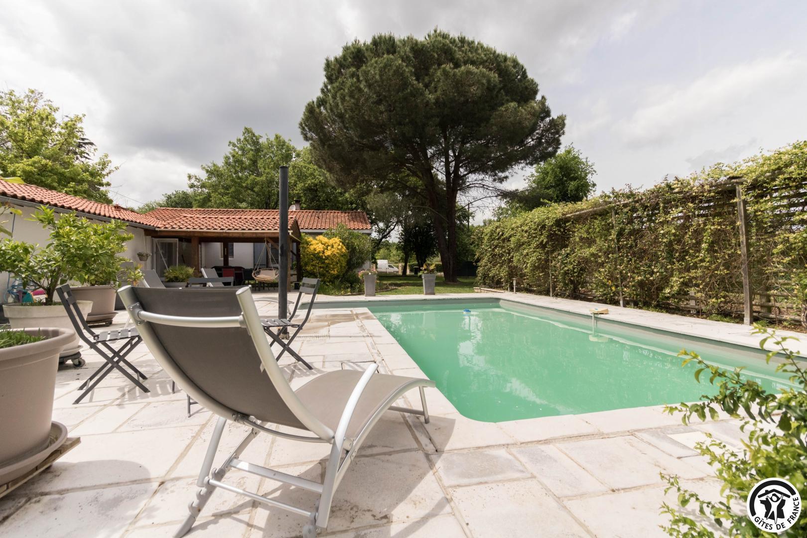 LES AGAPANTHES DU FRONTONNAIS, Bouloc - photo 168