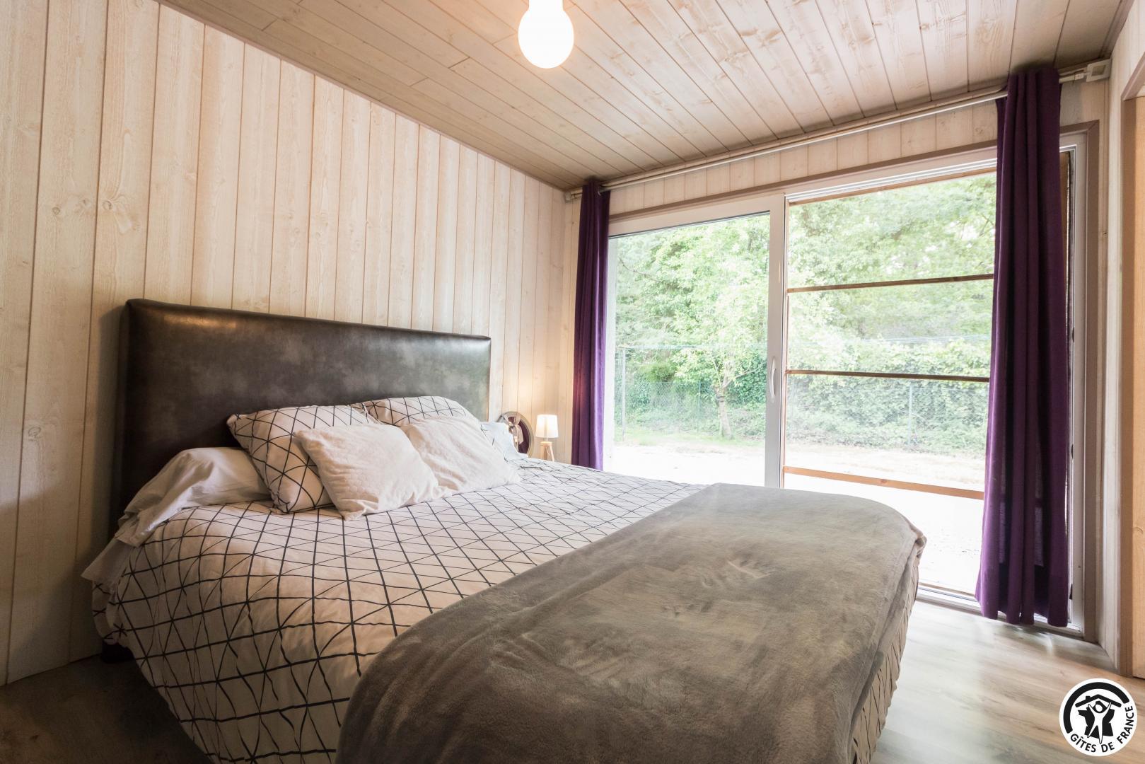 LES AGAPANTHES DU FRONTONNAIS - photo 5