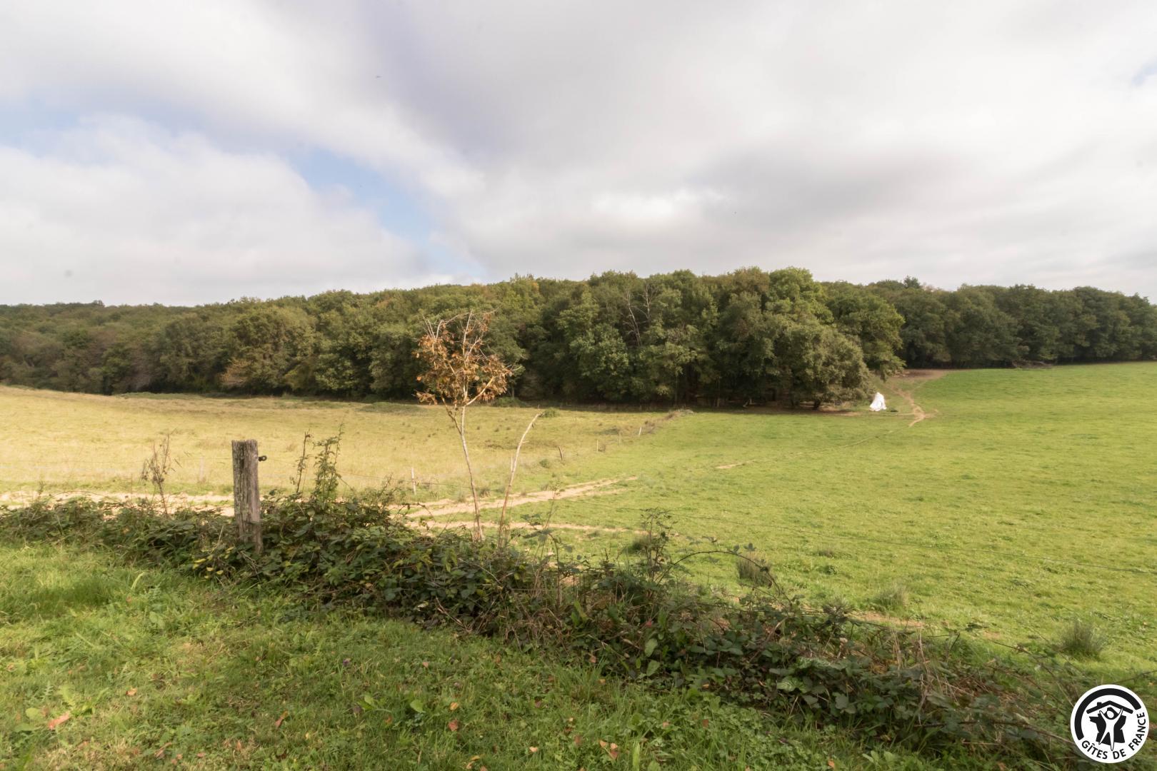 LE PIED DU RIST, Blajan - photo 166