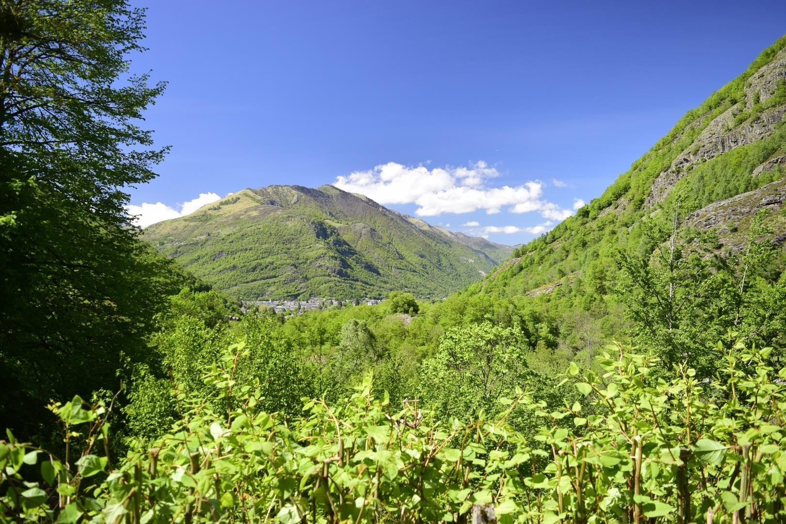 GITE SKIOURA, Bagnères-de-Luchon - photo 115