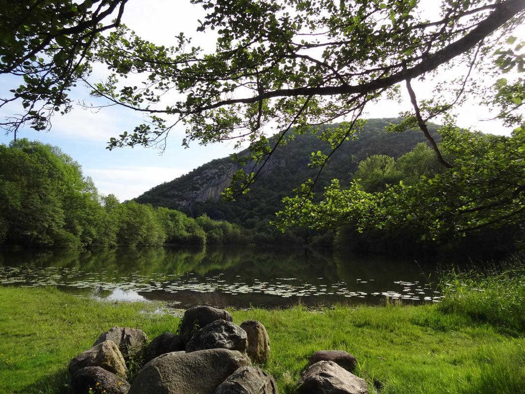 L'AFFENAGE, Saint-Pé-d'Ardet - photo 247