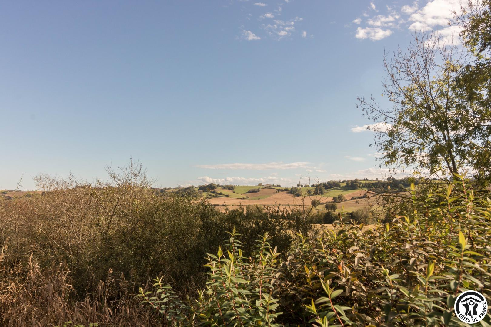 LA FLÂNERIE, Cassagnabère-Tournas - photo 82