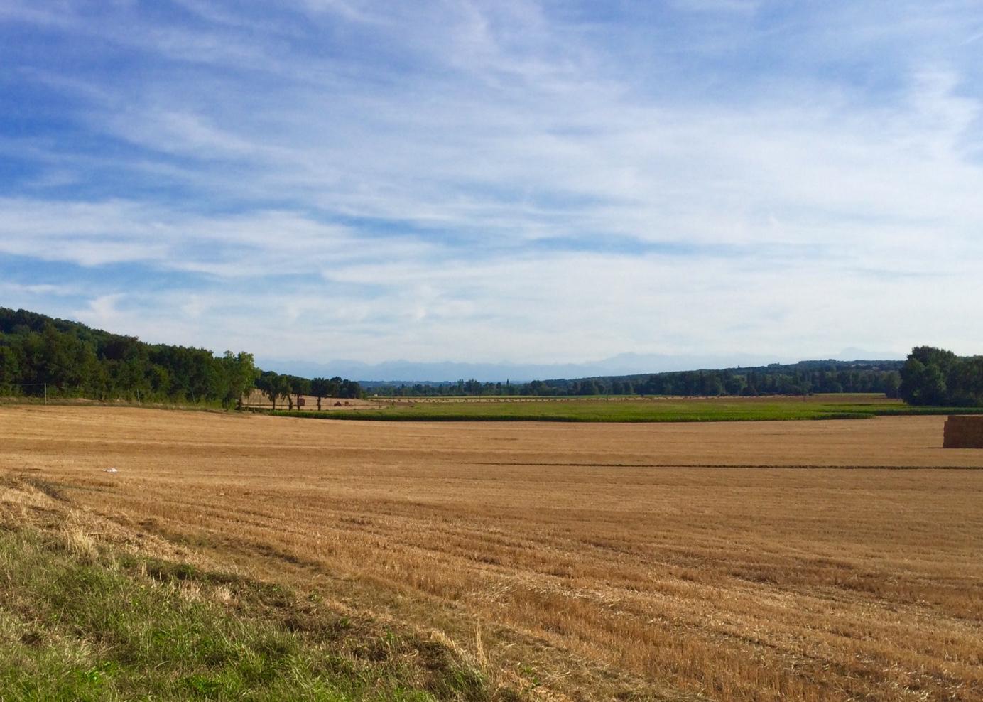 LA RIVIÈRE VACANCES, L'Isle-en-Dodon - photo 162