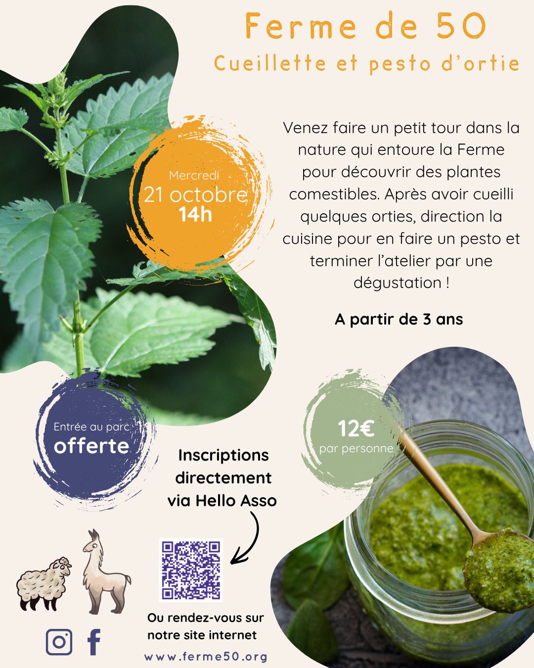 ATELIERS FAMILLES - CUEILLETTE ET PESTO D'ORTIES