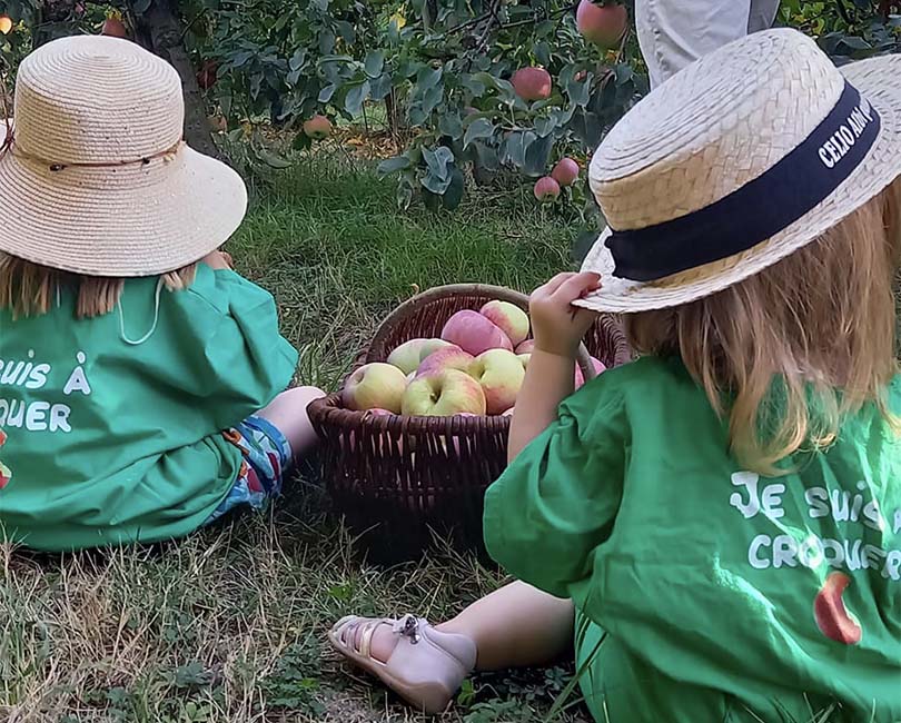 CUEILLETTE DE POMMES AU VERGER DE CANDIE Du 12 au 31 oct 2024