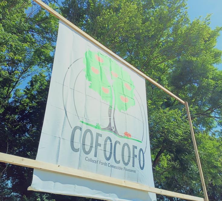 COFOCOFO