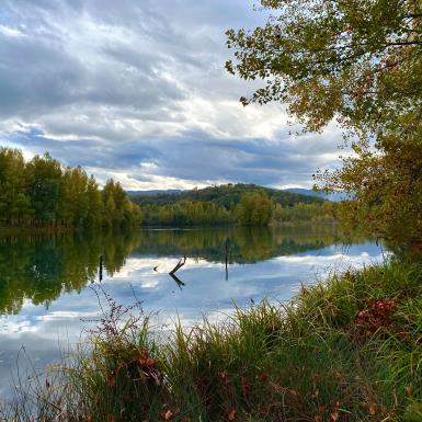 Lac de Touille Marche nordique