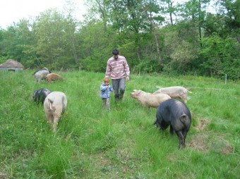 PORTES OUVERTES DE LA FERME AUX COCHONS BIO