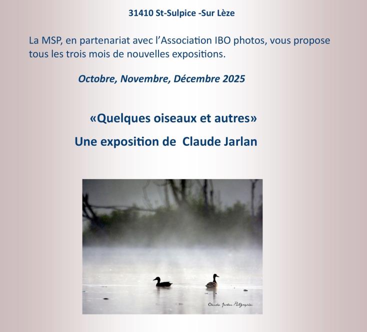 Affiche