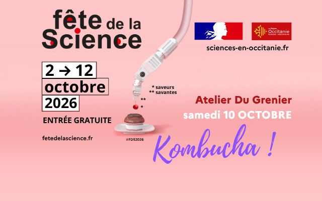 FAIS TON KOMBUCHA !