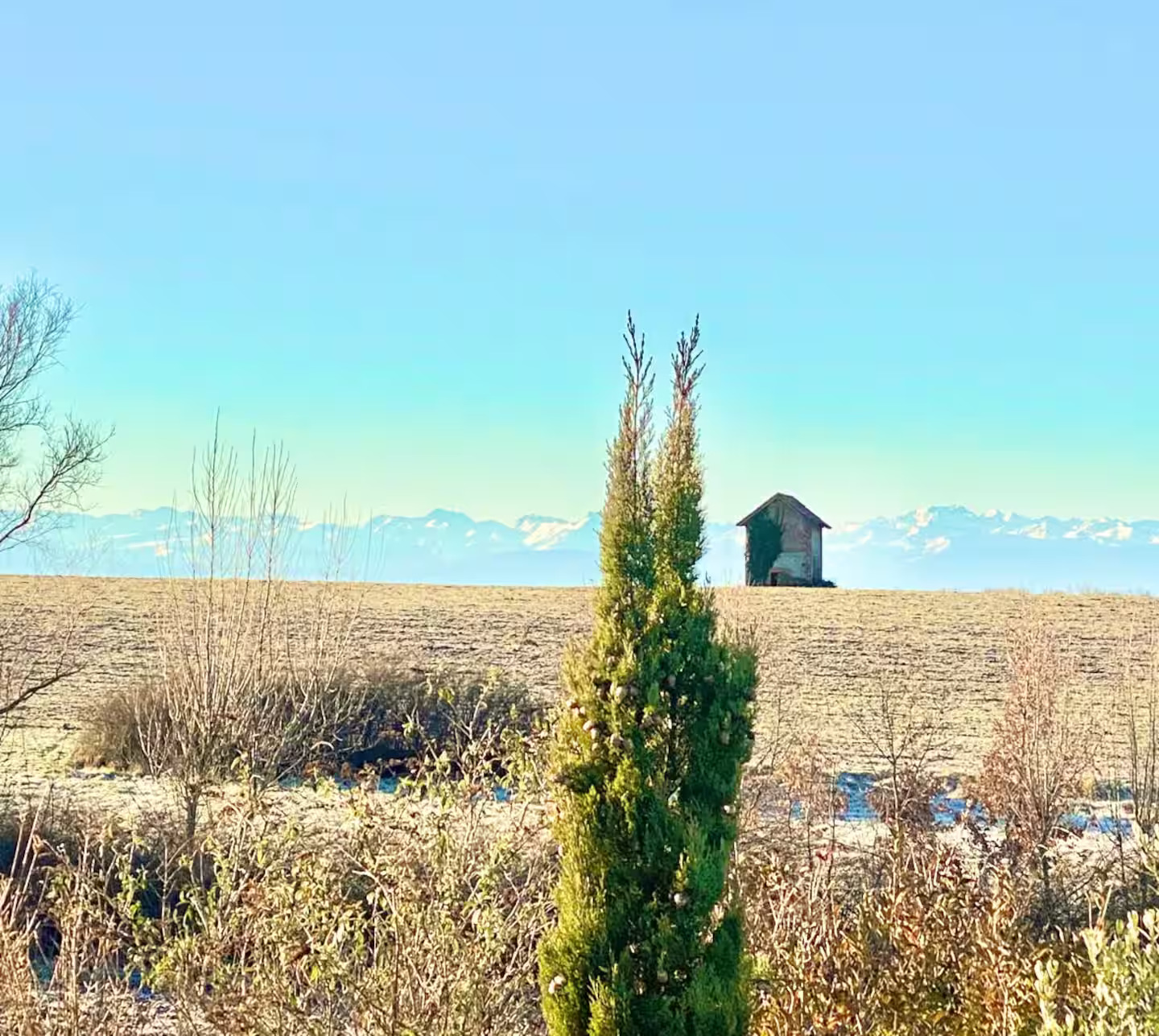 CAMPAGNE CHIC - photo 2