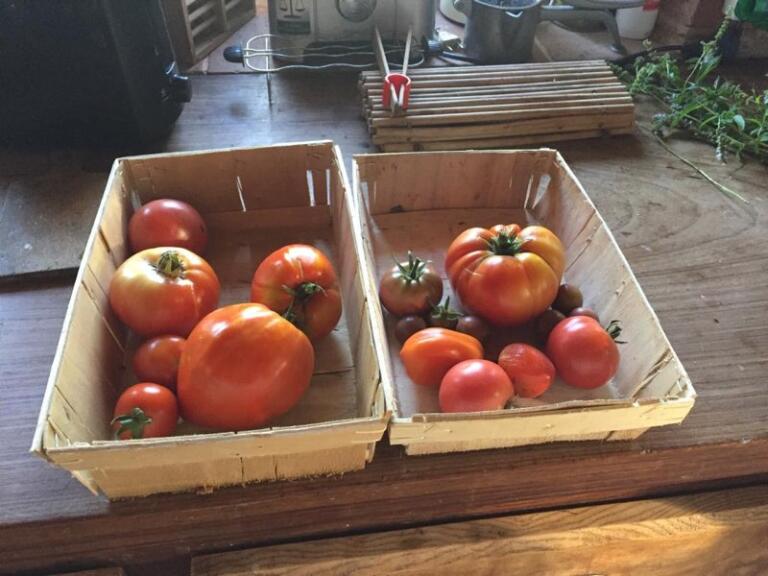 LE CHALET DE LA GESTERE, Ambax - photo 7