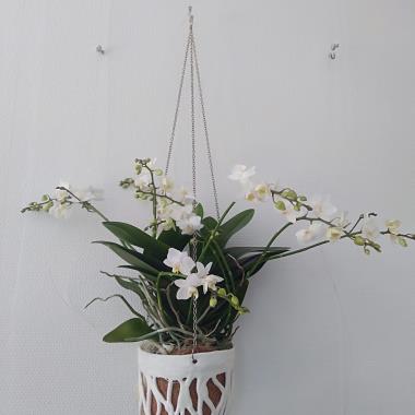 ATELIER SANDRINE SUERES