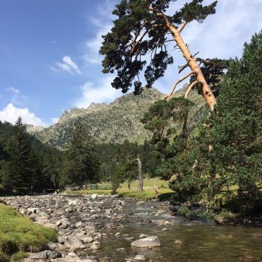 AMANDINE GAZO - ACCOMPAGNATRICE EN MONTAGNE