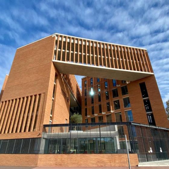 Visiter Toulouse, une balade architecturale à deux voix