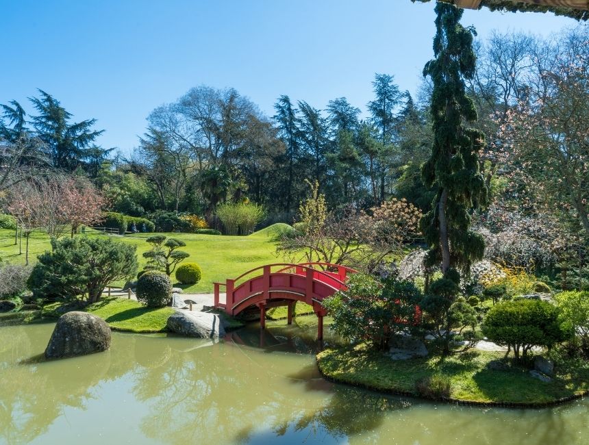 LE JARDIN JAPONAIS Le 27 oct 2024