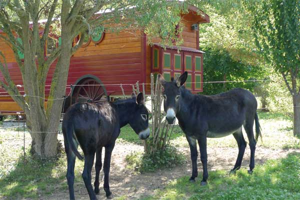 AU COEUR DU BOIS, Sédeilhac - photo 7