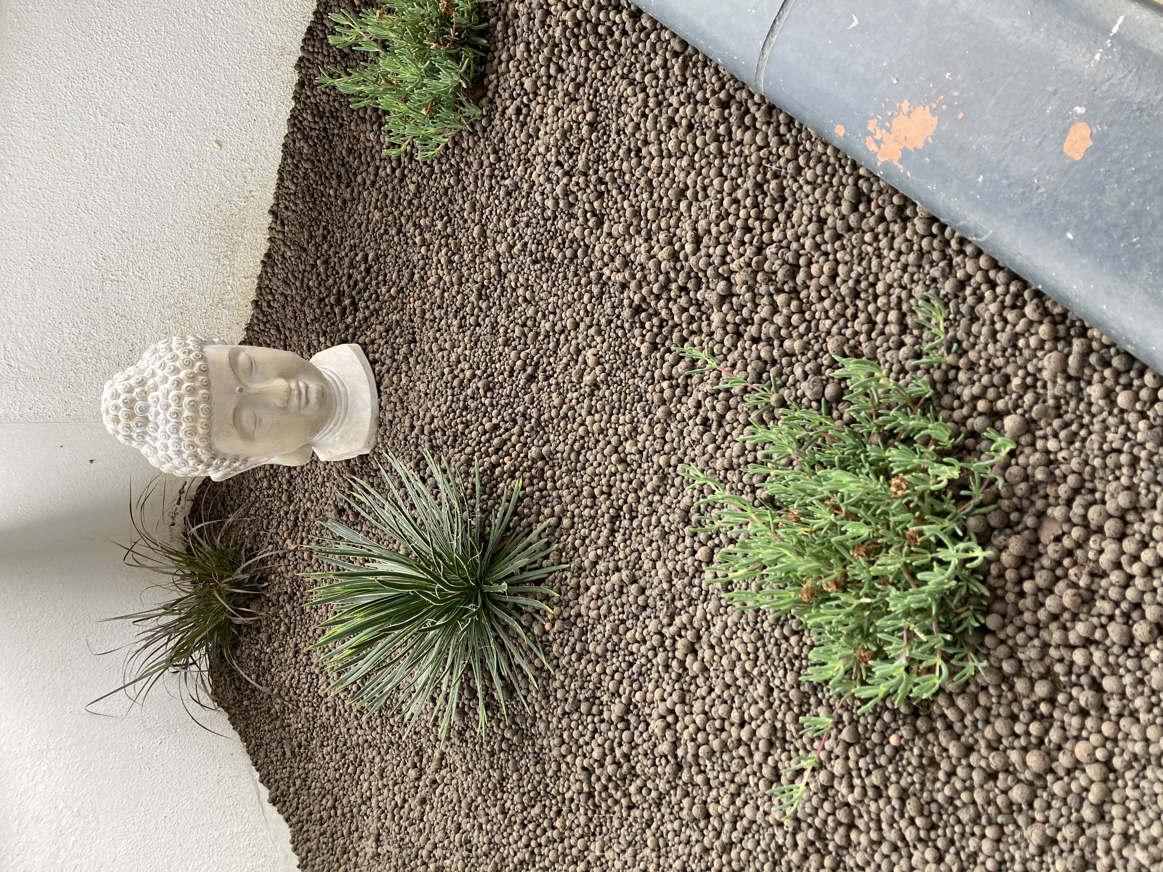 GITE STEVALOU, Labarthe-Rivière - photo 5