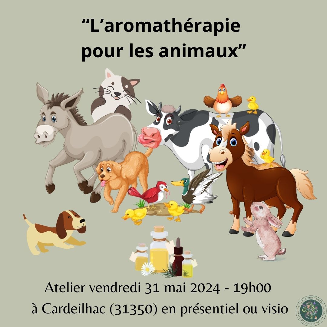 L'AROMATHÉRAPIE POUR NOS ANIMAUX DE COMPAGNIE (1/1)