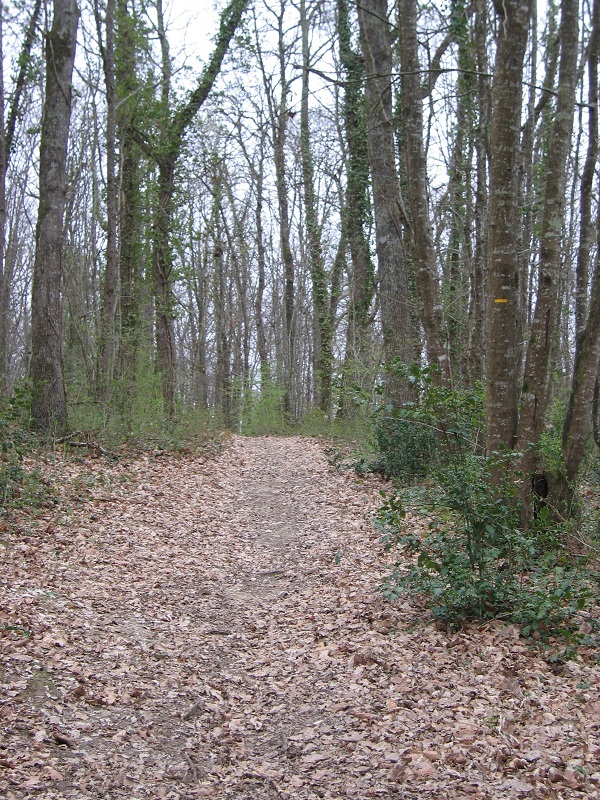 BOUCLE DU BURGAUD - CIRCUIT DES CHEVALIERS DE MALTE - PR, LE BURGAUD
