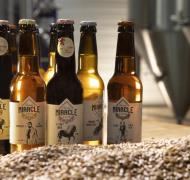 CDT31©Manuel_Huynh Brasserie Miracle Peyssies 2