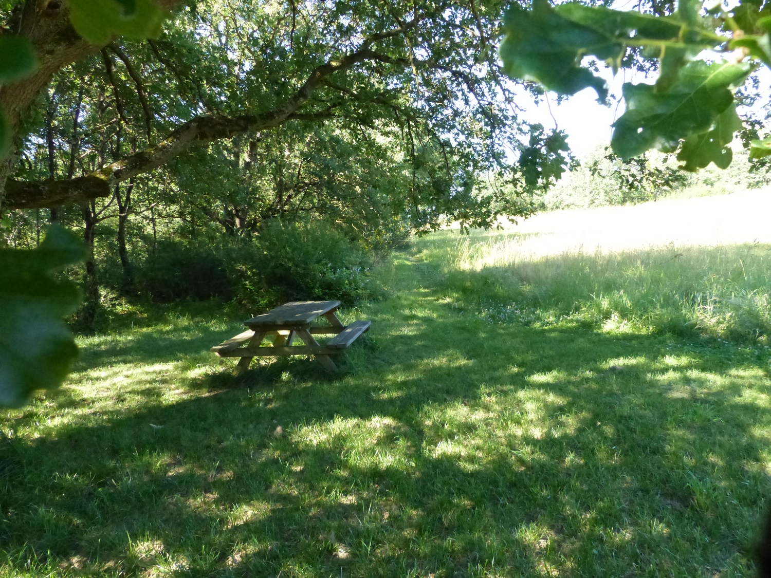 CAMPING LE CHEMIN VERT, Saint-Lys - photo 6