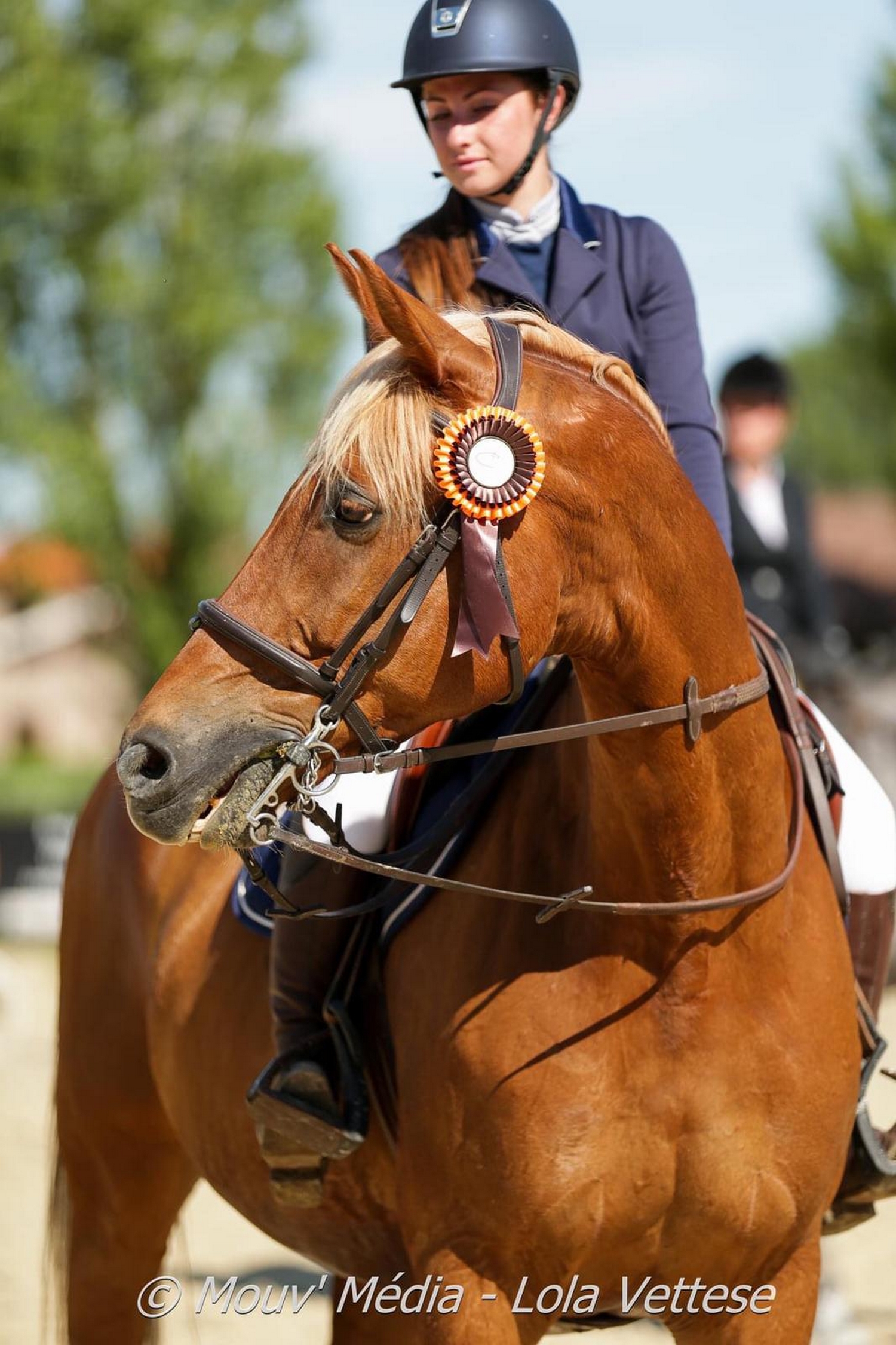 Cap cheval 6 BOULOC