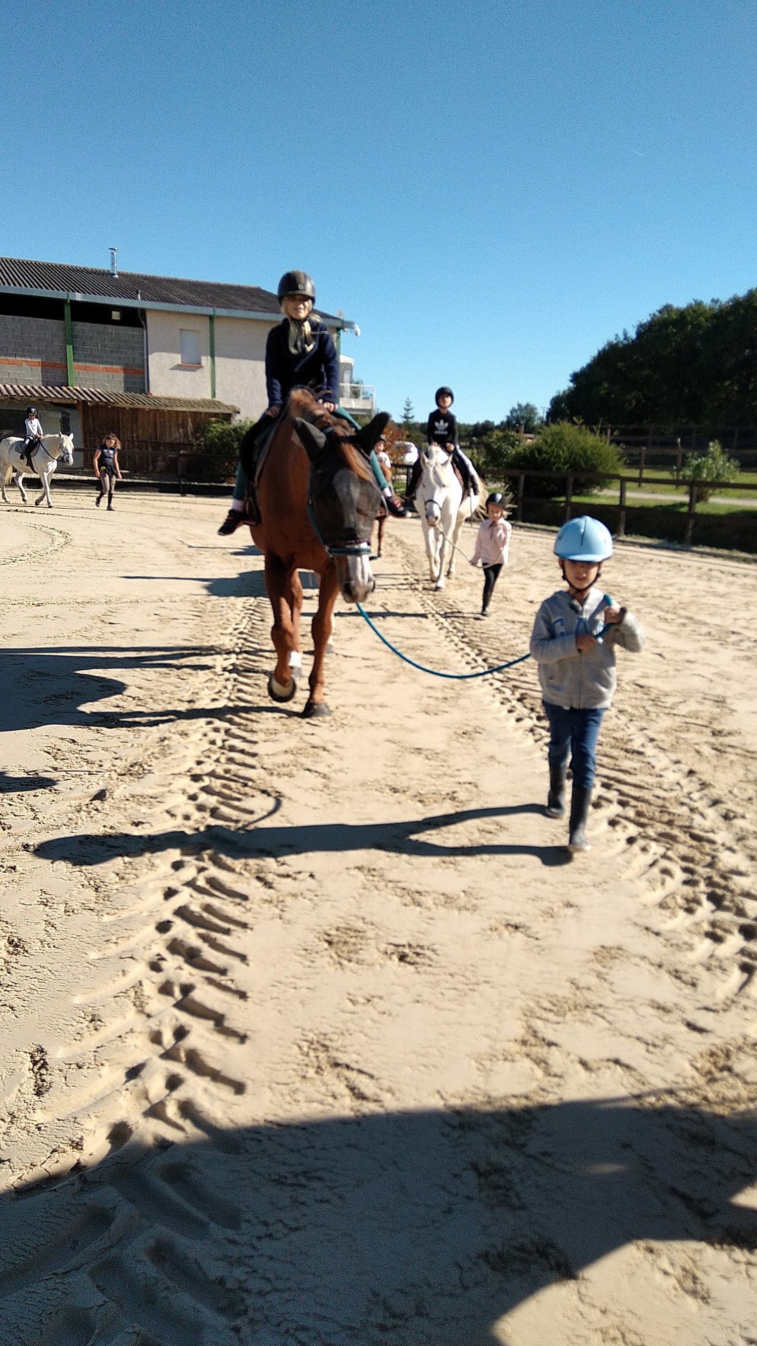 Cap cheval 7 BOULOC