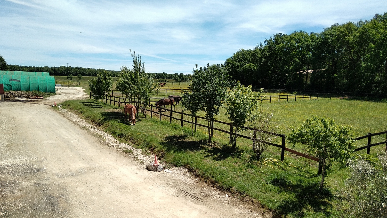 Cap cheval 9 BOULOC