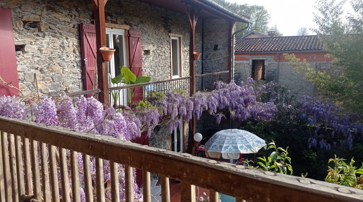 CHEZ OLIVE ET GARANCE