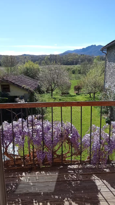 CHEZ OLIVE ET GARANCE, Couret - photo 9