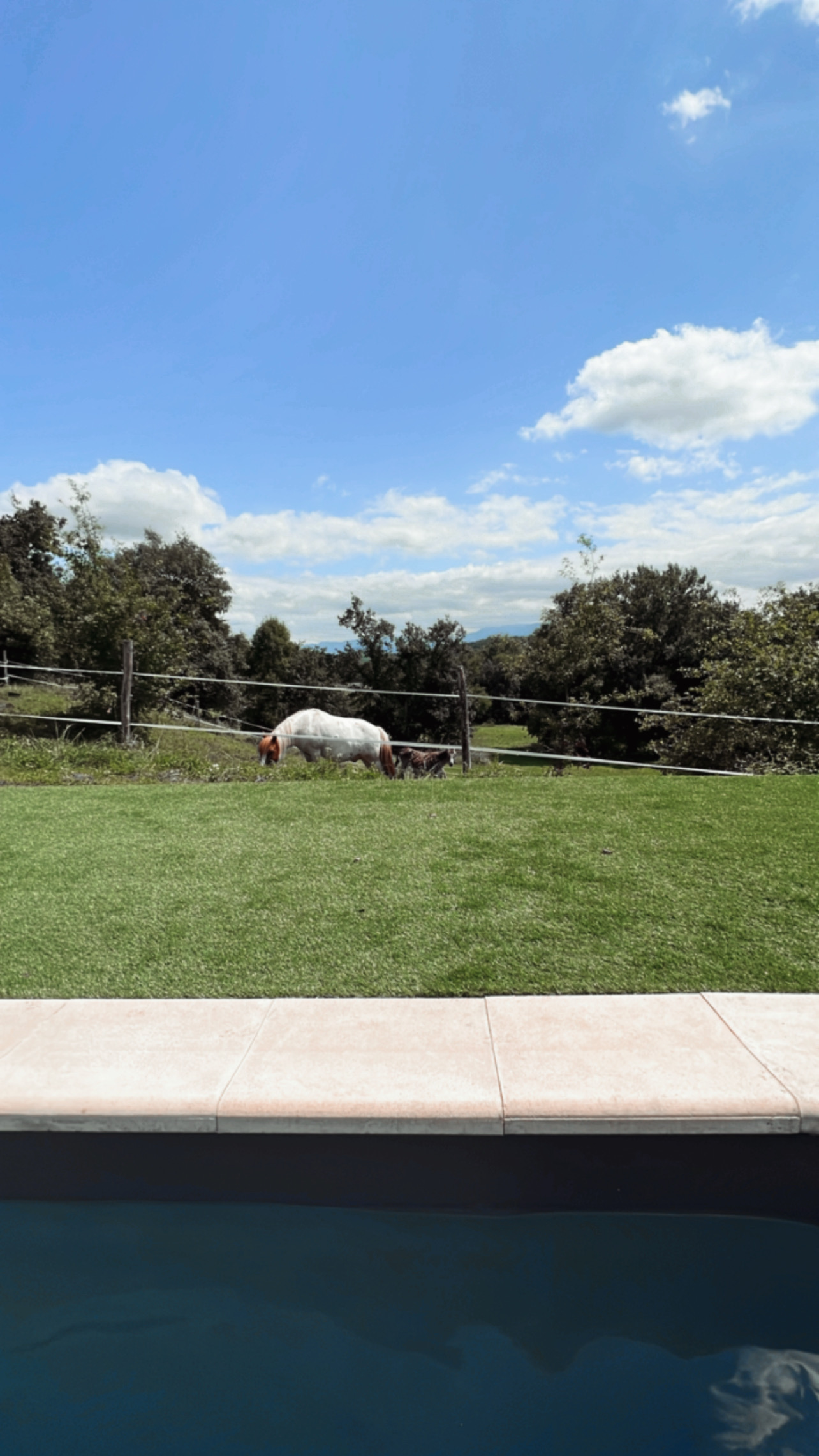 CHATEAU MARIANDE, Estancarbon