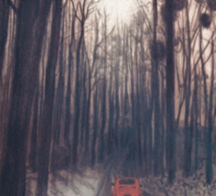 Coeur-de-bois-225x308