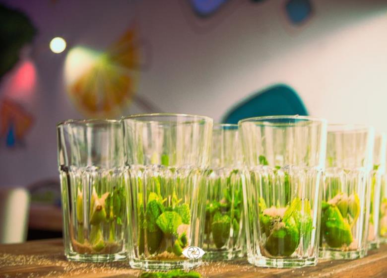 Tito Mojito Toulouse