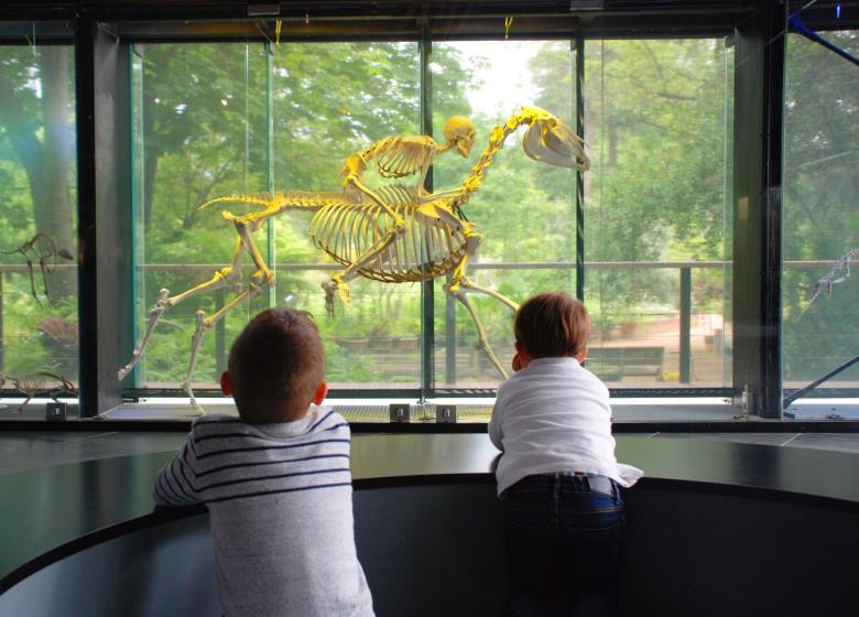 LE MUSEUM DE TOULOUSE TOULOUSE Musée