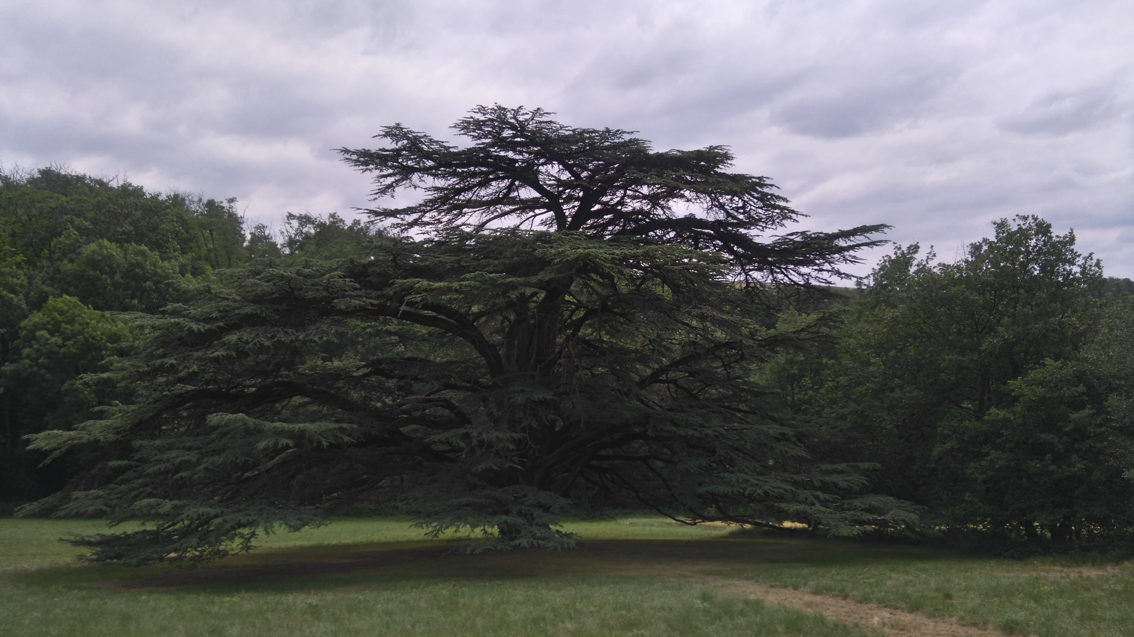 LE CHATEAU DE COULOM, Gibel - photo 6