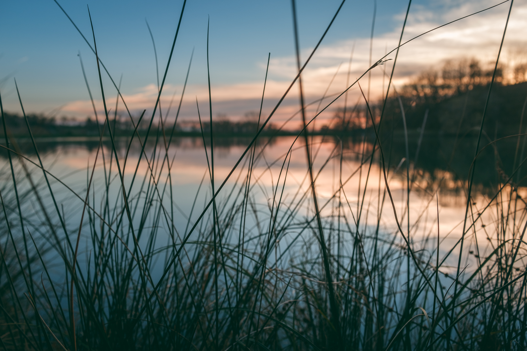 LA JONCASSE HAUTE, Caraman - photo 3