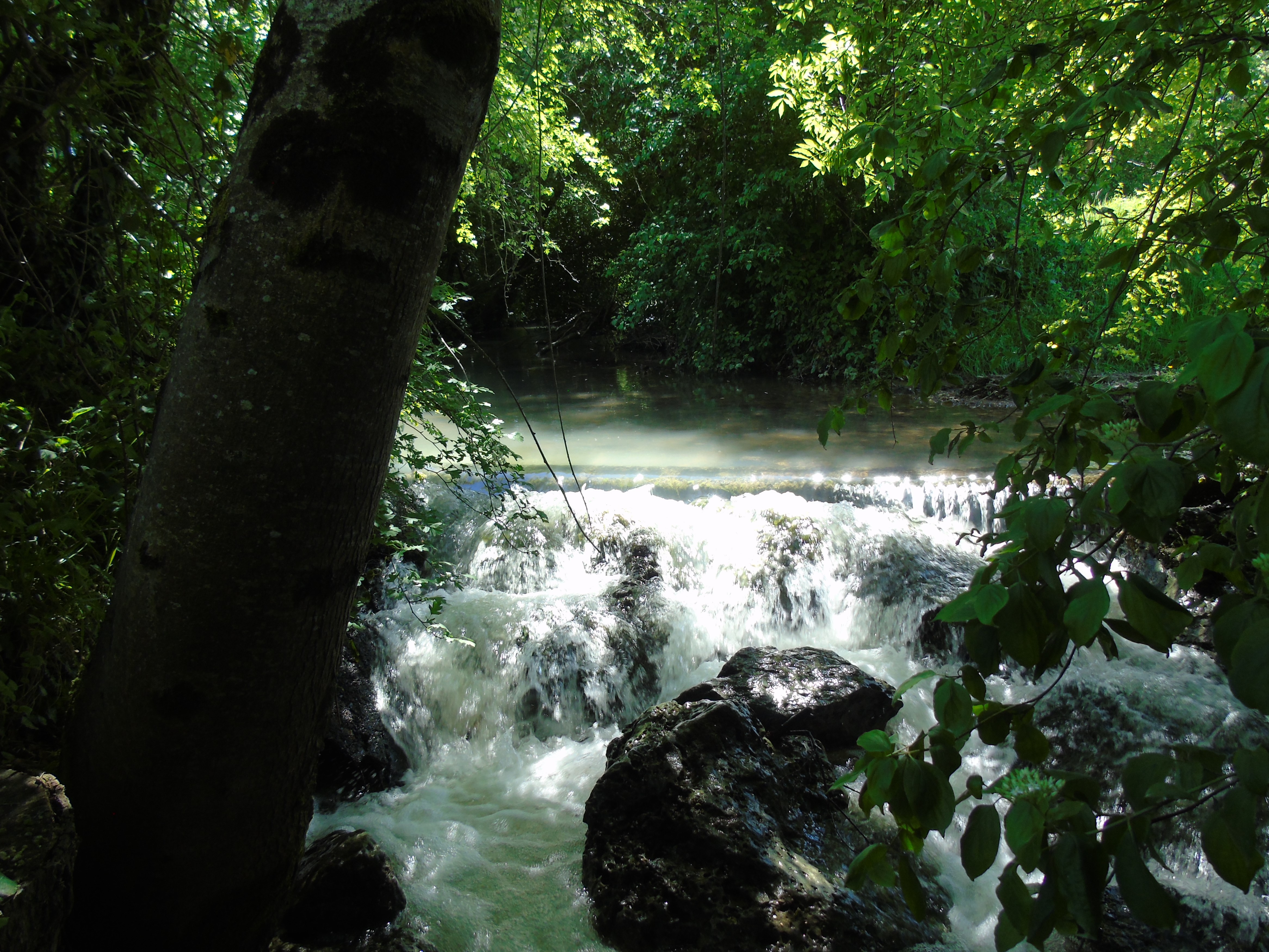 DANS LE PIEMONT PYRENEEN, Balesta - photo 10
