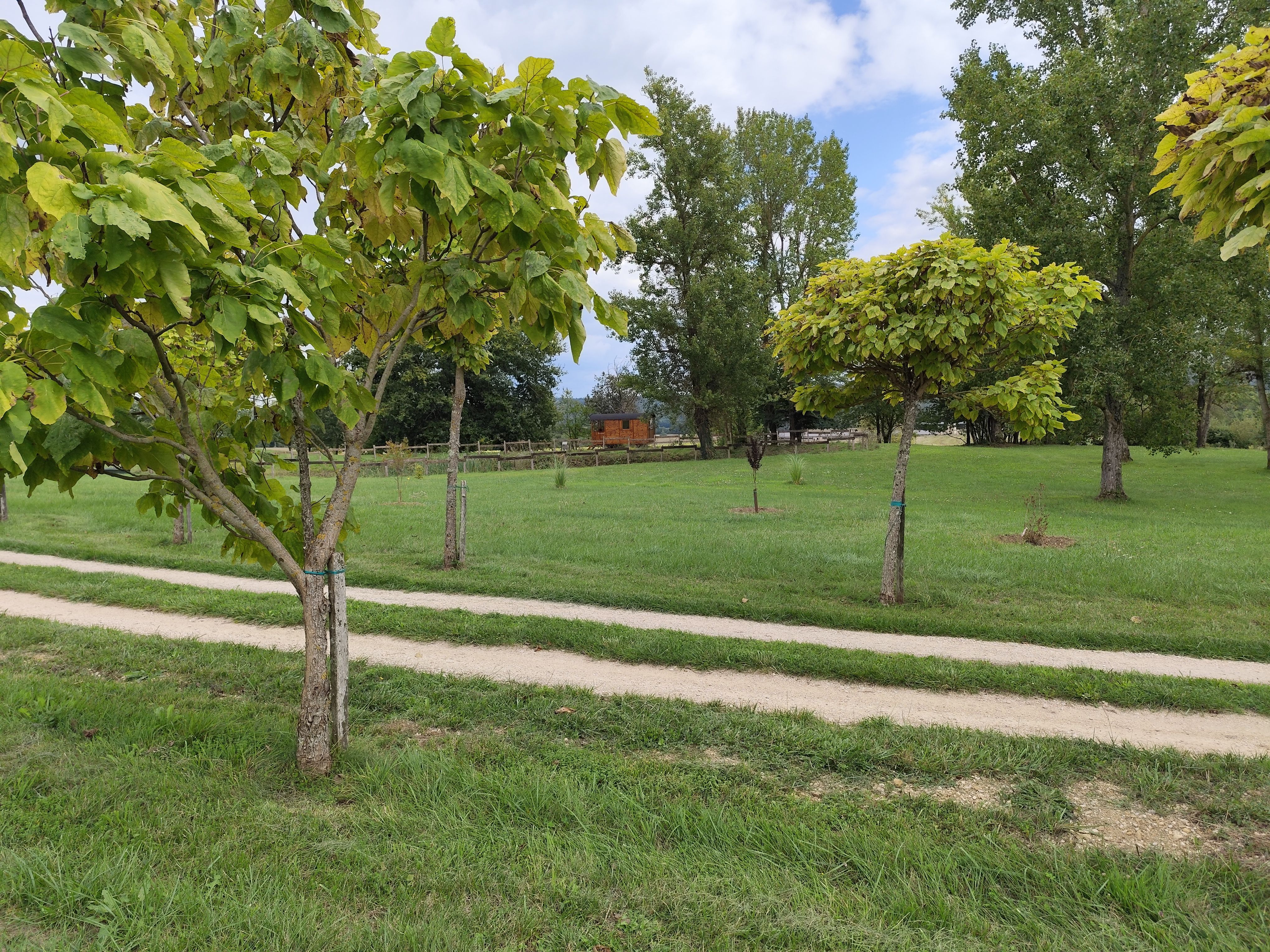 DOMAINE D'ANTICHAN - LE GITE, Saint-Pé-Delbosc - photo 5