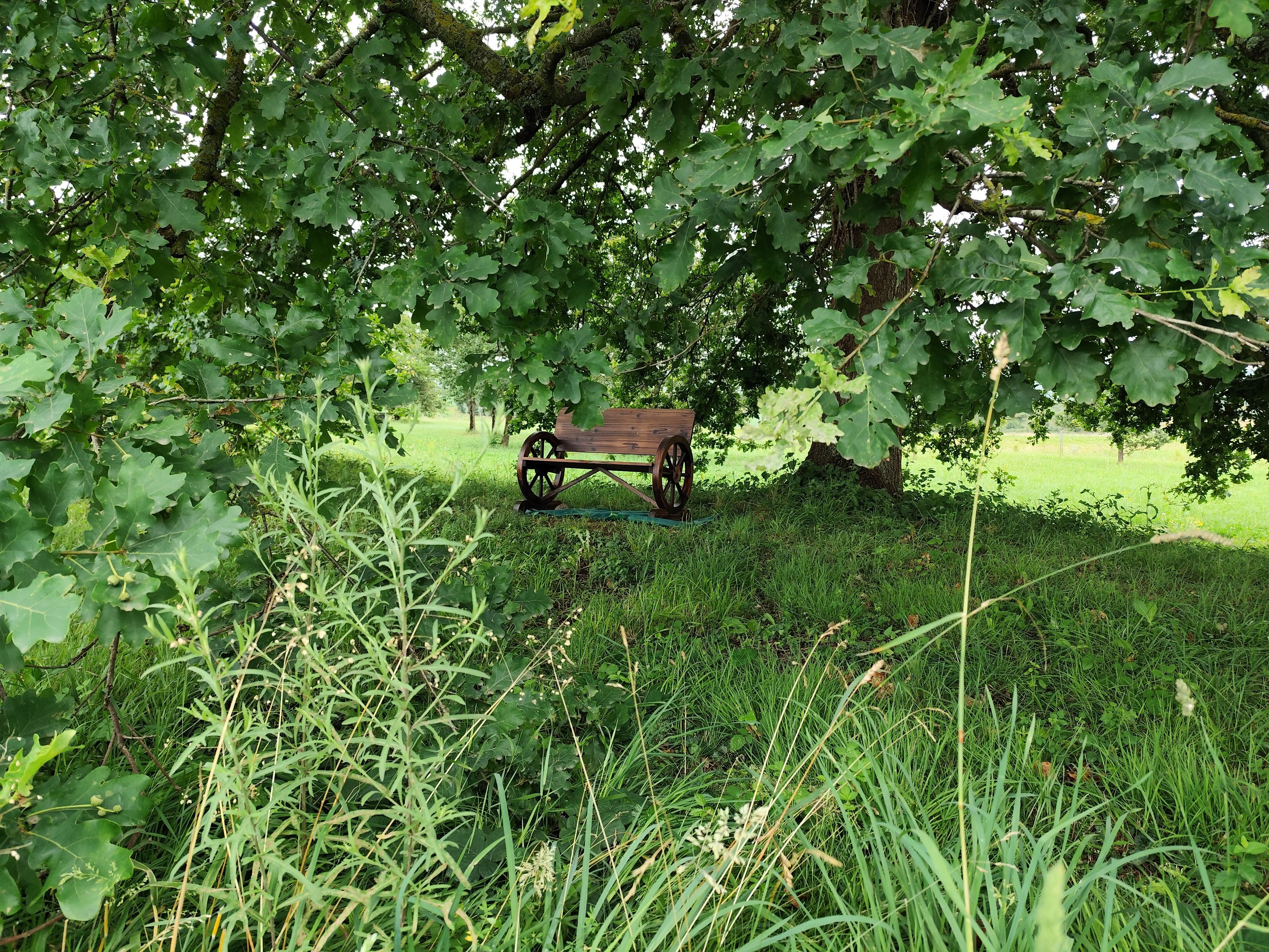 DOMAINE D'ANTICHAN - LE GITE, Saint-Pé-Delbosc - photo 10
