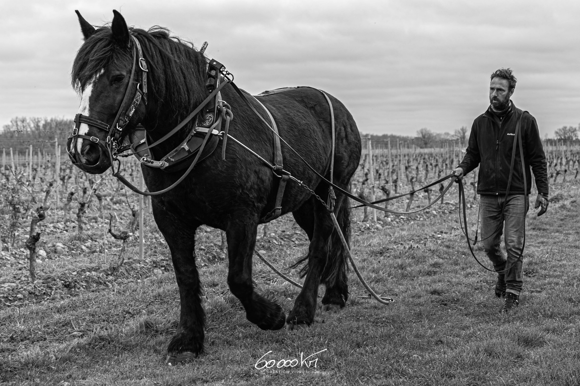Domaine de Cadeillac